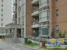 精装修小区安静的位置南北大一房看小区银杏树格局好