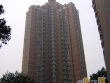 汇师 新上 精装修 泰德花苑 看房有钥匙