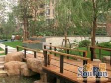 世博花园1室南朝向620.00万元/套出售