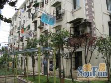 新上梅园新村建平三房业主诚心出售不占民额看房有钥匙