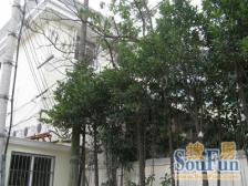 陆家嘴·崂山五村·2室·1厅