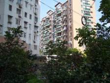 2005年电梯中层房,双南户型,采光好