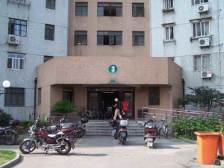 金桥·长岛花苑·3室·2厅