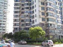 金桥电梯低总价三房 户型正气 不靠路