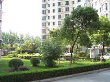 金桥电梯低总价三房 户型正气 不靠路