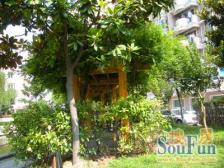 采光充足,配套完善,小区中心位置,交通便利