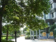 业主自住数百万精装中空地暖公园全景方便看房