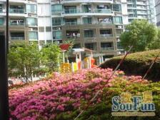 小区中心位置,配套完善,交通便利,采光充足