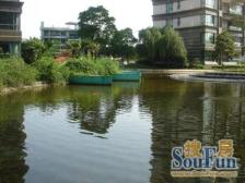 花木·浦东世纪花园一期·4室·2厅