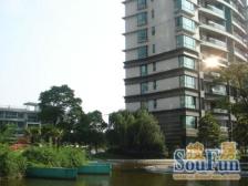 主打一个性价比,世纪公园高区景观房,采光无遮挡送车位