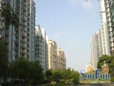 世纪花园品质6房 满五年 送车位,看房有钥匙