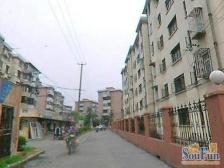 大院子,小区中间位置,双南全明两房