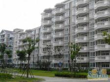 精装 随时看房 无抵押,热销好房