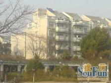 顶楼复式大楼台 房东诚售