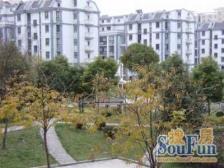 南北通三房随时看房诚心出视野采光好