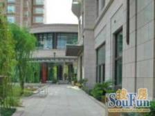 新天地景观房,正看衡复风貌别墅,中共一大会址双景观