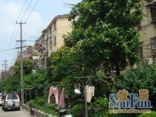 近第铁 近日月光 双书包房,求知加中国中,配套完善 视野好