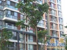 近地铁,电梯房,通风好 采光好 新上房源