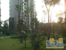 此房满五,南北通透格局,楼层好,视野开阔采光充足