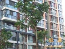 不靠马路,南向无遮挡,中高区风景视野好,满五费用少