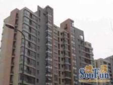 南北卧室外+书房/上海西站三轨交汇/毛坯/不靠马路!