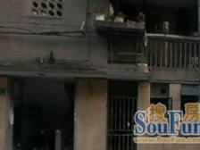 8/10号线双轨,满五,业主诚意出售,配套成熟