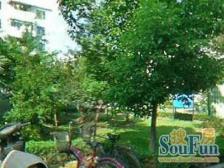 古美罗阳·平阳一村·2室·1厅