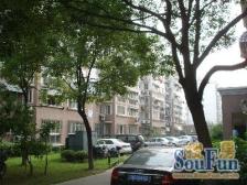 近地铁 入住快,通风好,电梯房,新上房源