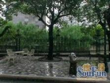 小高层中区,自住保养好,看房方便