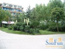 精装修,电梯,全明户型,看房方便