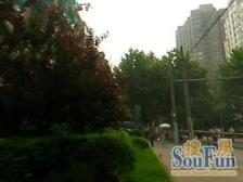 凉城·环城公寓·3室·2厅