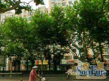 环城公寓4室南朝向650.00万元/套出售