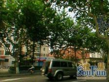 环城公寓 3室2厅 南