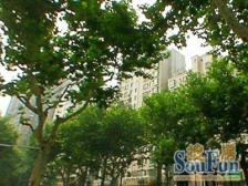 19号线地铁 大三房 中间楼层 采光无遮挡