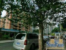 急!售!内环内电梯房,临环球港,单价低,交通便利