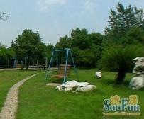 新上电梯大三房!近一号线莘庄站!配套成熟!精装修!