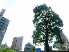 顶楼复式&#x2B;南北双阳台&#x2B;动静分离飞机户型&#x2B;带阁楼阳光房