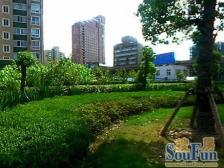 顶楼复式+南北双阳台+ 动静分离飞机户型+松阁楼阳光房