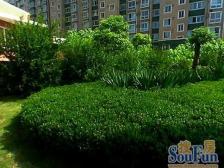 顶楼复式+南北双阳台+ 动静分离飞机户型+松阁楼阳光房