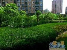 明和苑新出复式, 有阁楼及露台 小区中间位置 有车位