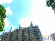 飞机户型,中楼层,电梯房,采光好,视野好