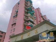 精装修 带40平阳光房 01年房龄 一梯三户 金典二房一厅