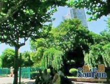 品质小区,环境优美,居家装修,诚意出售