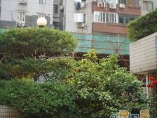 科汇公寓1室2厅1卫南朝向500.00万元/套出售