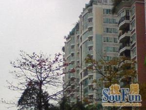 电梯平层户型方正采光好诚意放卖