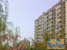 05年小区,润和苑中间楼层三房,业主诚意,满五年