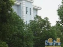 05年小区,润和苑中间楼层三房,业主诚意,满五年