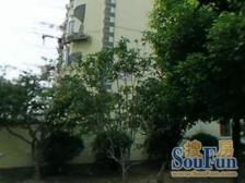 金色中环发展带,近地铁商场,不靠马路