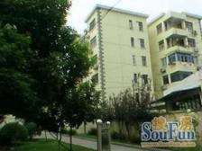 金杨新村九街坊 2室1厅 南 北