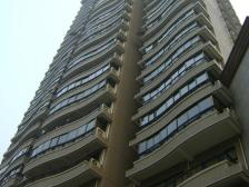 出则繁华入则宁静;都市桃源阳光充足;带子母车位!